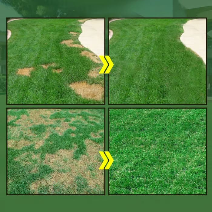 🔥Last Day 50% OFF🌱 Bring Your Dead Grass Back to Life