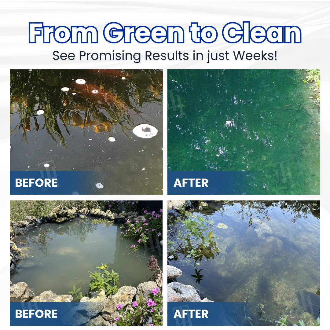 Valorsusa® | ✨ From Green to Clean Overnight! |⏱️ Crystal Clear in 24 Hours!