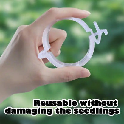 ⏰Last Day Promotion 49% 100 Counts Plant Support Clips