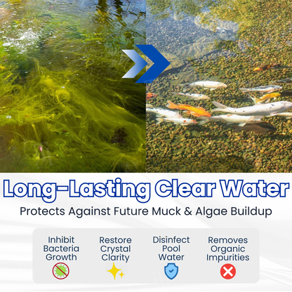 Valorsusa® | ✨ From Green to Clean Overnight! |⏱️ Crystal Clear in 24 Hours!