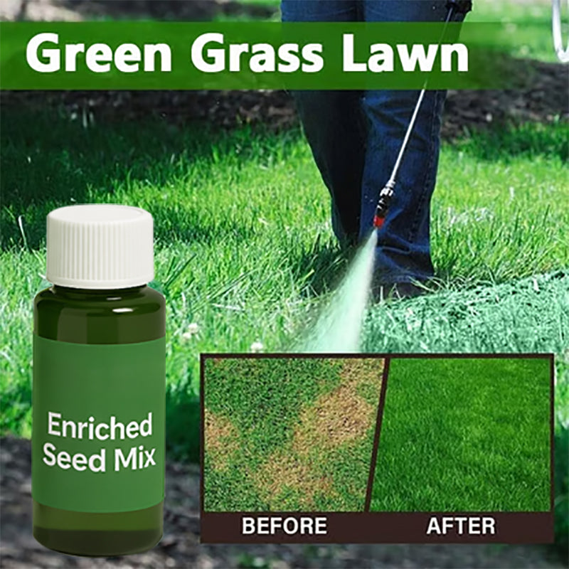 🔥Last Day 50% OFF🌱 Bring Your Dead Grass Back to Life