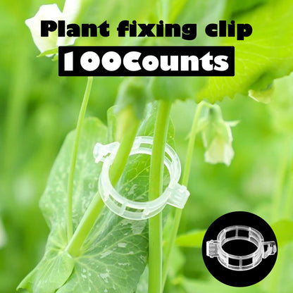 ⏰Last Day Promotion 49% 100 Counts Plant Support Clips