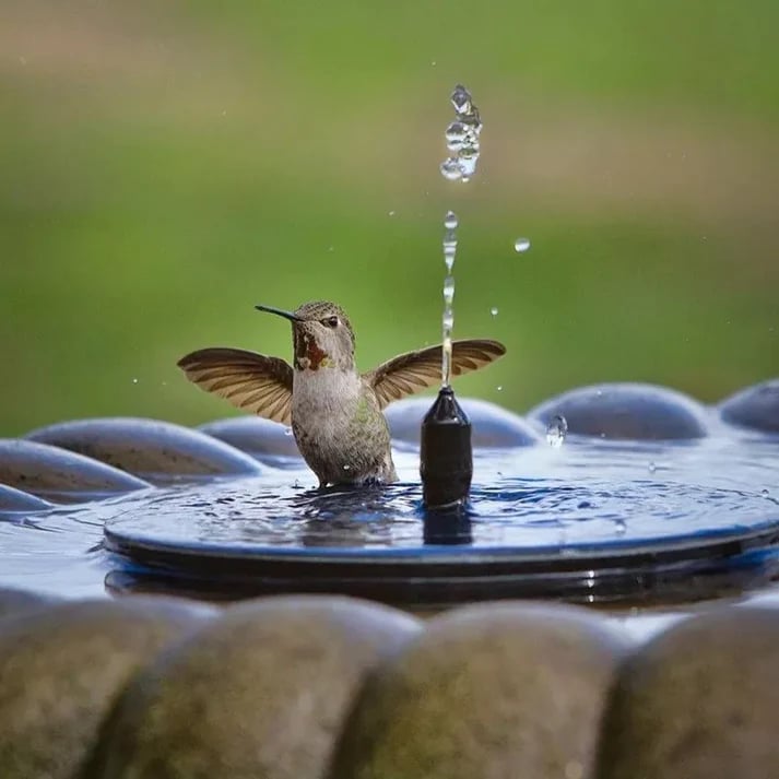 🎁☀️Solar Bird Bath Fountain Pump